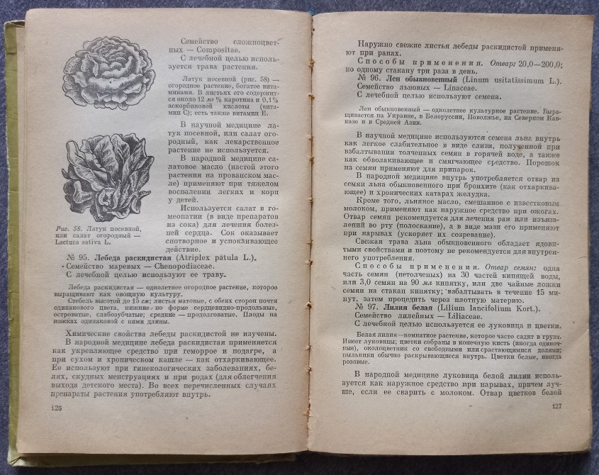 Лекарственные растения в народной медицине. А.П. Попов Харків - зображення 5