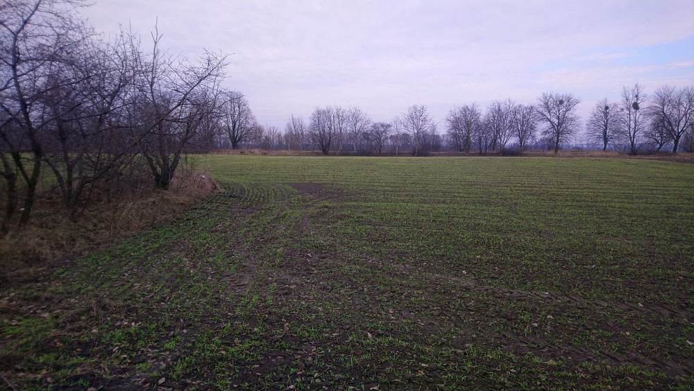 Продається земнльна ділянка Белая Церковь - изображение 9