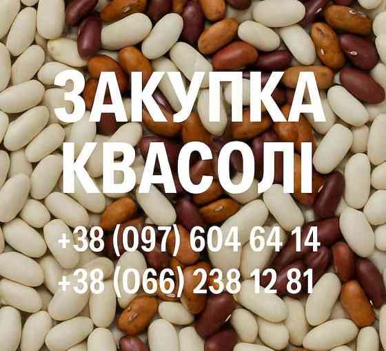 Купуємо квасолю для потреб підприємства Одеса