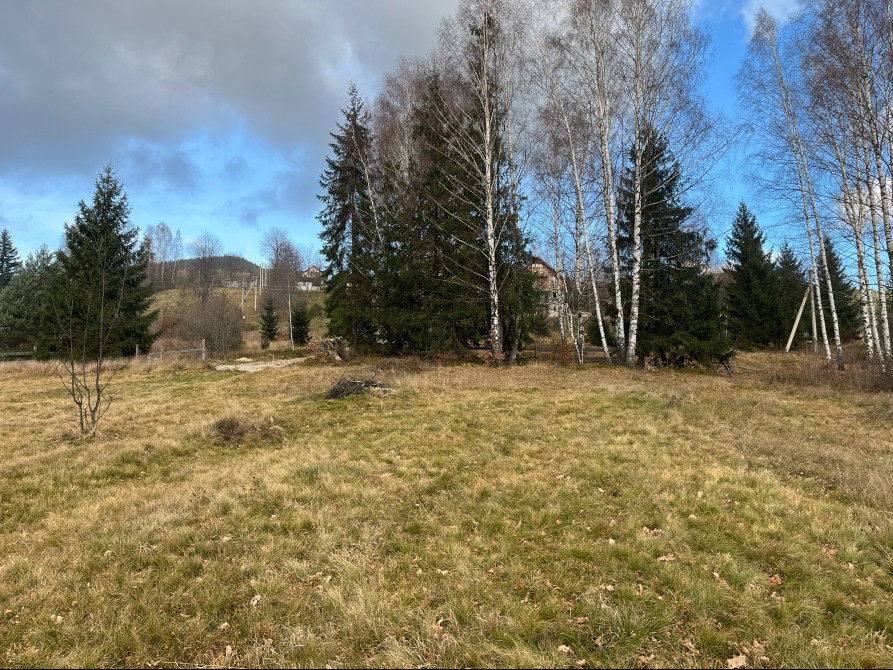 Земельна ділянка в Микуличині 0.12 га Яремче - зображення 11