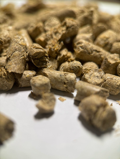 Наповнювач натуральний гігієнічний з лушпиння вівса для котів Київ - зображення 2