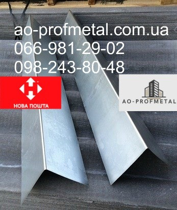 Коник простий з оцинковки. Киев - изображение 3