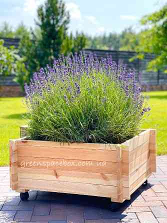 Садовий ящик-конструктор Васильків