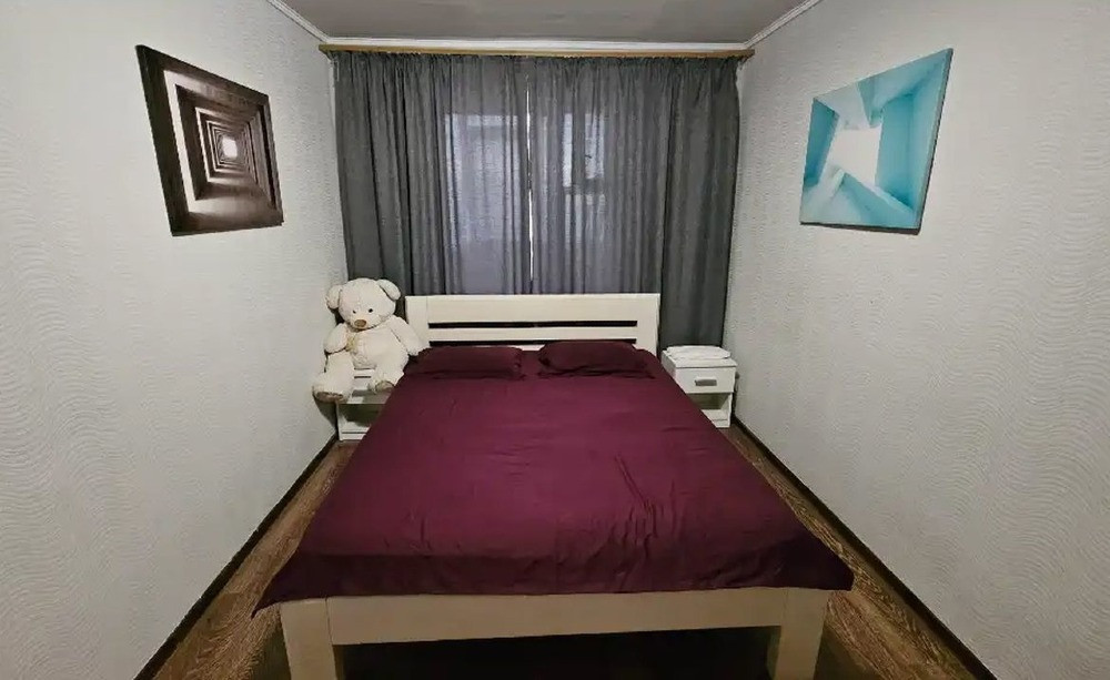 Продам 2-к квартиру (чешка) на пр. Мира, Левобережный-3 Дніпро - зображення 4