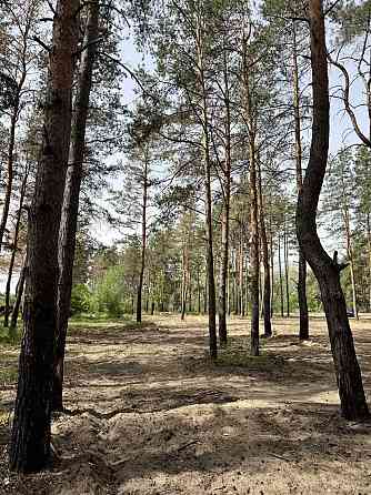 продажа участок под жилую застройку Новомосковский, Песчанка, 25000 $ 