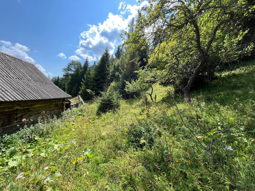 Земельна ділянка в Татарові біля водоспаду Гук 0.25 га Яремче - зображення 5