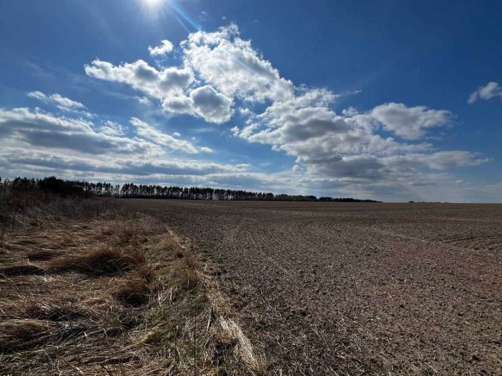 Продаж ділянки під будівництво, Грузьке, площа 6,0359 га Від власника!  - зображення 2