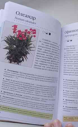 Книга комнатные растения. Новое руководство по уходу. Воронцов В. В. Киев