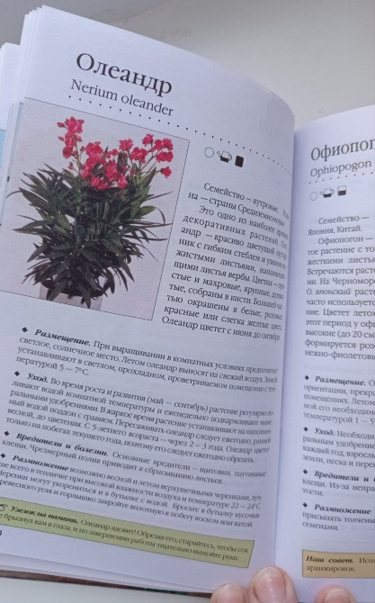 Книга комнатные растения. Новое руководство по уходу. Воронцов В. В. Київ - зображення 5