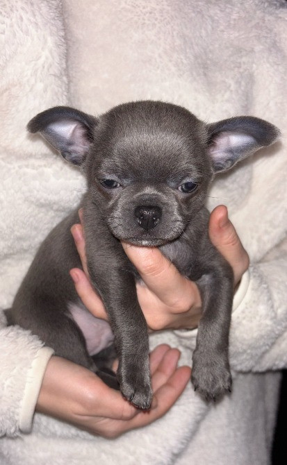 Предлагается к бронированию Харків - зображення 4