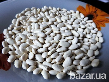 Квасоля біла куплю у населення і виробників Винница - изображение 1