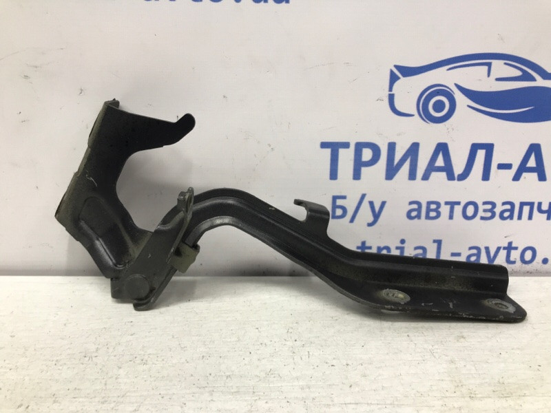 Петля капота правая Nissan Juke F15 1.6 TURBO MR16DDT 2010 (б/у) Киев - изображение 1