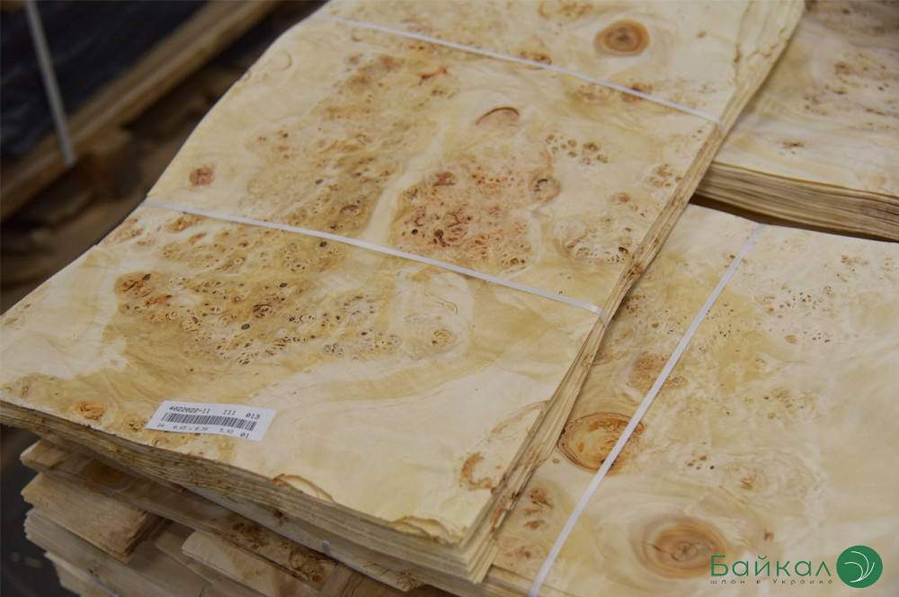 Шпон капа тополя очкового Киев - изображение 12