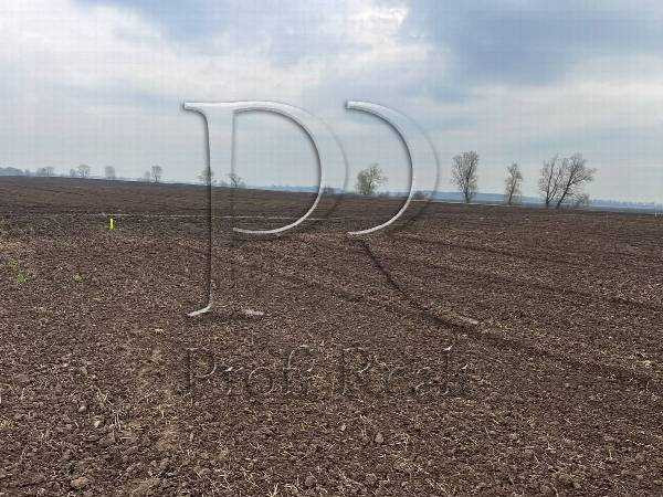 продажа участок под жилую застройку Бориспольский, Борисполь, 9000 $ Бориспіль - зображення 7