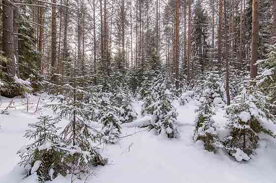 Терміново! Продам ділянку на березі озера пригод Одеси Одесса