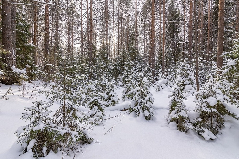 Терміново! Продам ділянку на березі озера пригод Одеси Одесса - изображение 1