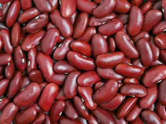 Високоякісна квасоля оптом Одесса