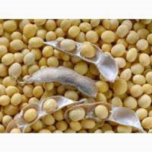 Купуємо сою по Вінницькій, Хмельницькій, Черкаській, Житомирській обл Хмельницький - зображення 1