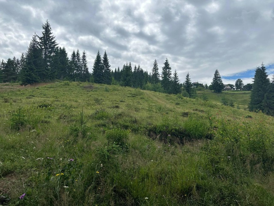 Продаж земельної ділянки в с. Яблуниця, навпроти ресторану "Грань" Івано-Франківськ - зображення 5