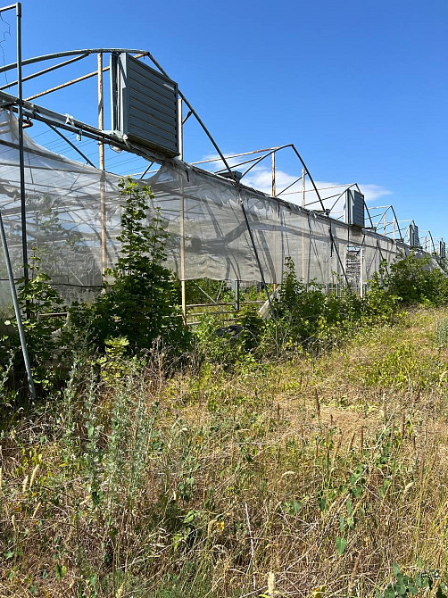 Готовий тепличний бізнес Київський район Одеса! Інвестиційний обєкт в Україні Одесса - изображение 2