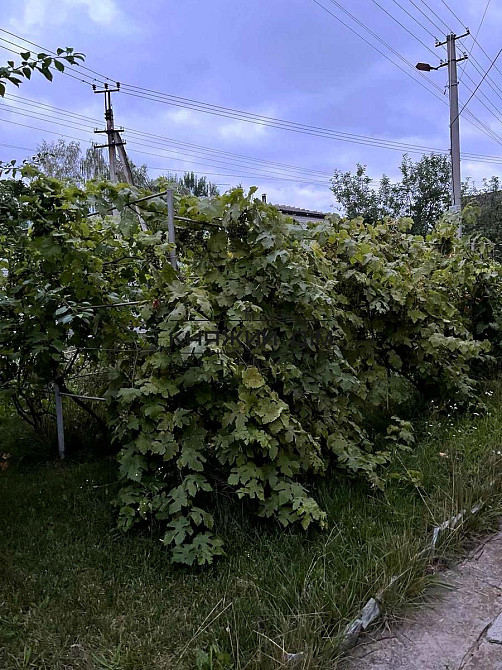 Садове товариство  парус 3-х пов. будинок 180 кв.м.5 кімнат с. Кийлів Київ - зображення 8