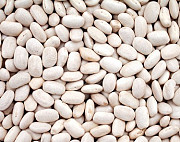 Куплю білу квасолю на переробку Львів