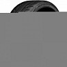245/45 R18 Nitto NT555 G2 100Y Легкова шина Київ