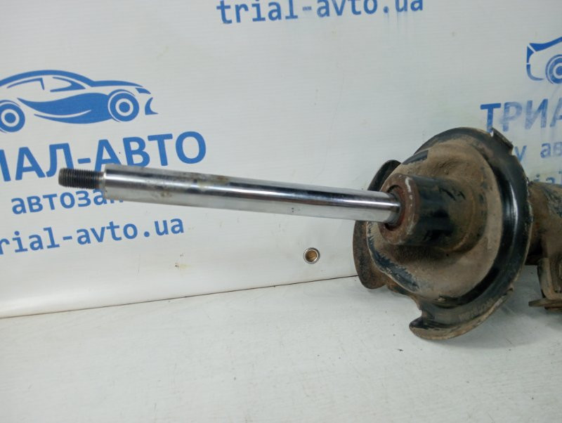 Амортизатор передний левый Ford Kuga 2011-2019 1801174 (Арт. 58293) Киев - изображение 4