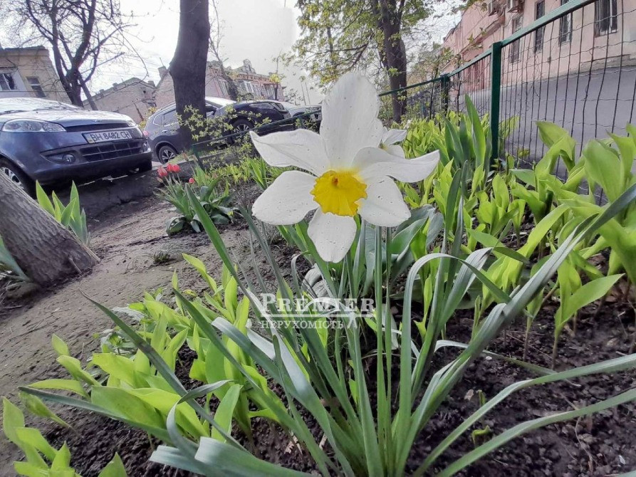 2-кімнатна квартира в центрі міста з ремонтом. Одесса - изображение 8