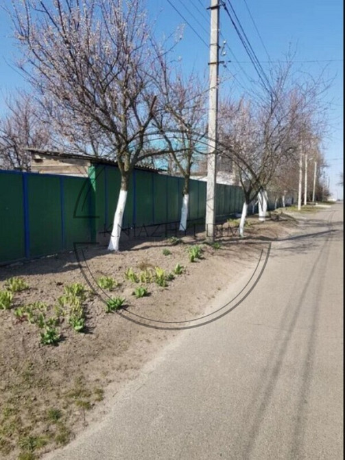 Продам дом в с. Мартусовка Бориспольского района в 20 км от Киева. № 229706 Киев - изображение 3
