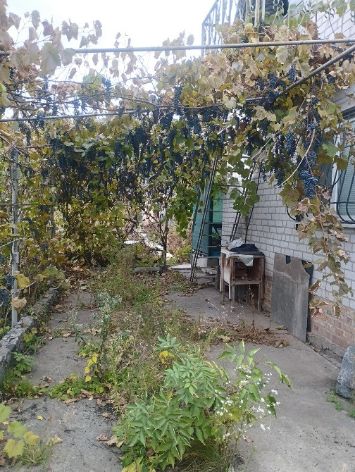 Продам дом -дачу в Подгородном СТ Горизонт Днепр - изображение 2