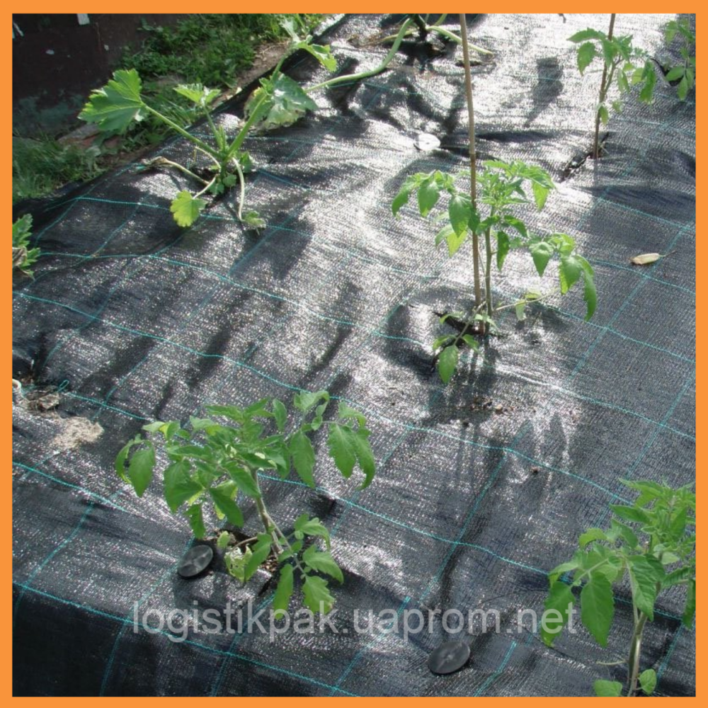 Агроткань черная 1,7х50м|100г/м² Харків - зображення 12