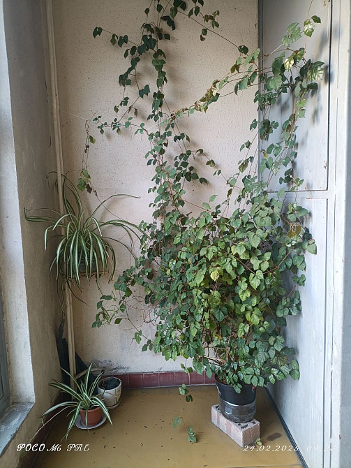 Довгострокова оренда 2 кімнатної квартири Ивано-Франковск - изображение 11