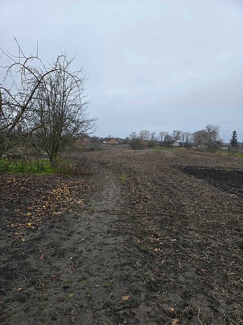 продажа 3-к дом Сквирский, Самгородок, 12000 $  - зображення 5