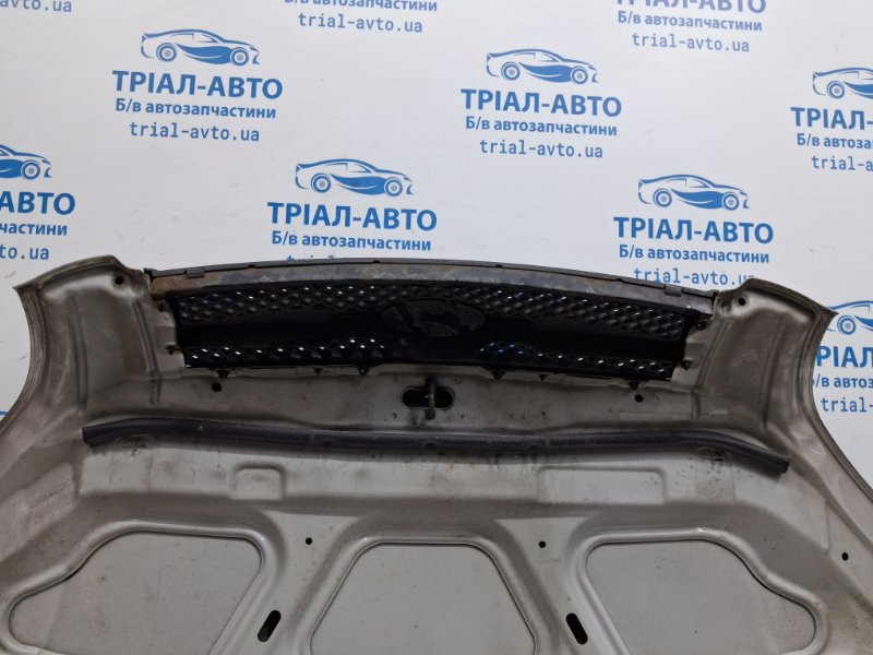 Капот Hyundai Tucson JM 2.0 БЕНЗИН G4GC 2004 (б/у) Київ - зображення 10