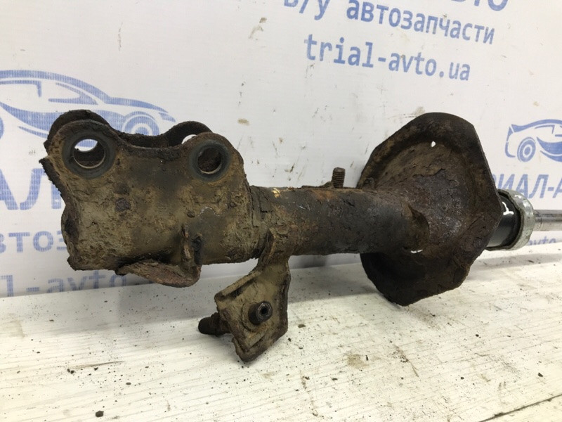 Амортизатор передний правый Nissan Tiida C11 1.6 БЕНЗИН HR16 2004 (б/у) Киев - изображение 3