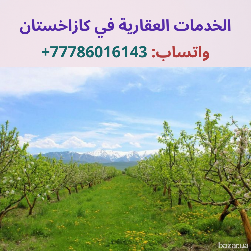 شركة للخدمات العقارية في الماتي، كازاخستان Симферополь - изображение 3