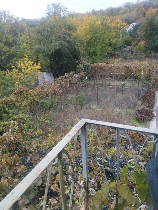 Продам дом -дачу в Подгородном СТ Горизонт Днепр - изображение 10