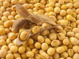 Купуємо сою. Самовивіз з полів, господарств, елеваторів Черкаси - зображення 1