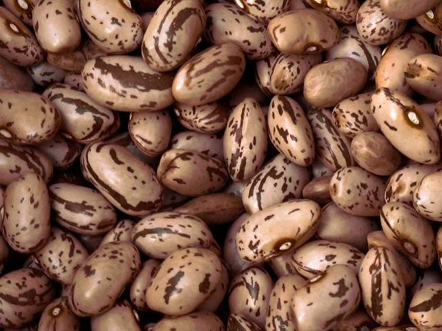 Продаємо квасолю (в асортименті) Житомир - изображение 1