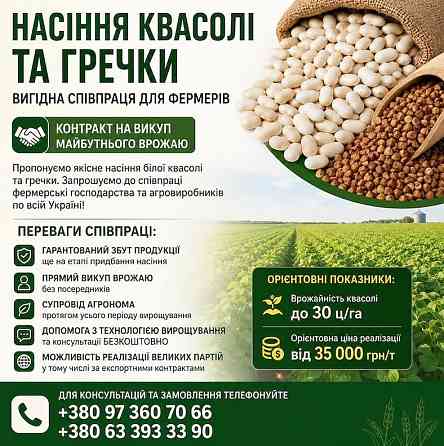 Реалізуємо насіння білої квасолі та гречки Львів