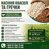 Реалізуємо насіння білої квасолі та гречки Львів
