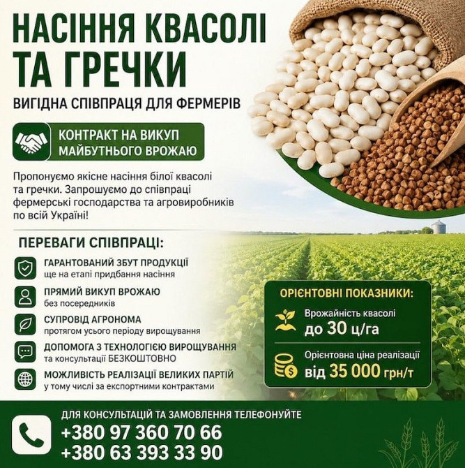 Реалізуємо насіння білої квасолі та гречки Львів - зображення 1