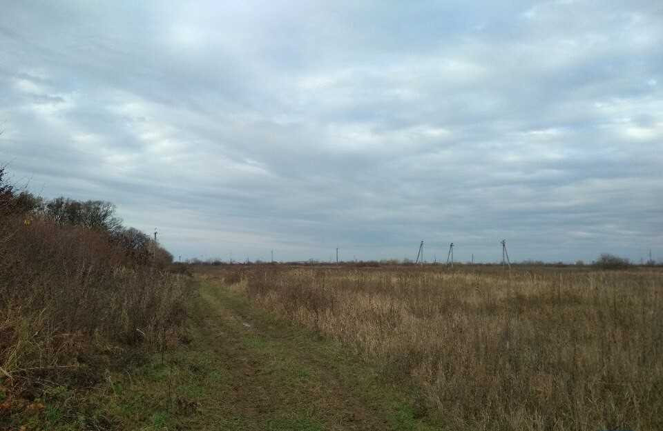 Земельна ділянка,0.9997 га,Закарпатська обл.,Мукачівський р-н, Павшино  - зображення 2