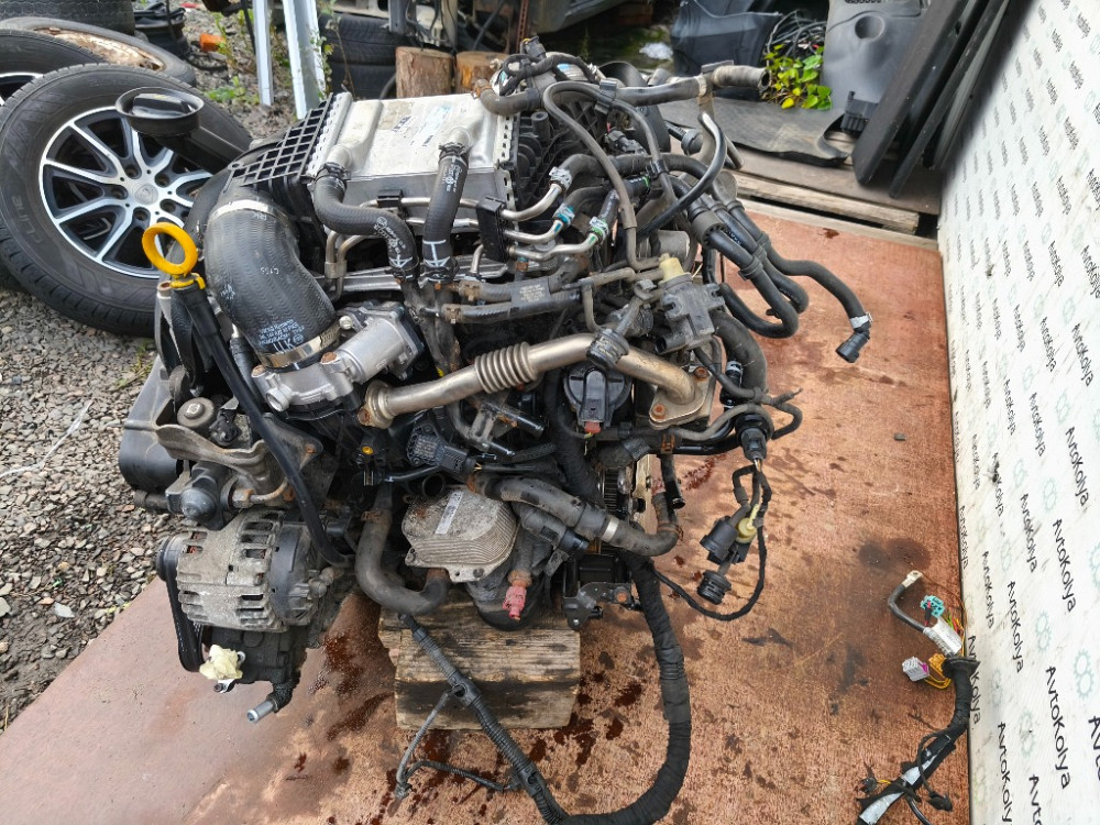 Двигатель в сборе VW T5 T6 2.0 tdi 2015-2019 (CXH) Euro 6 Ковель - изображение 3