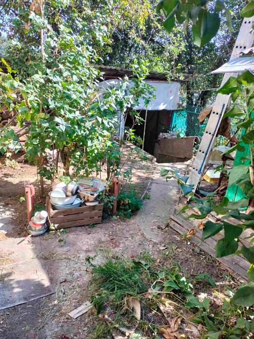 Продам будинок у Фастові Фастів - зображення 2