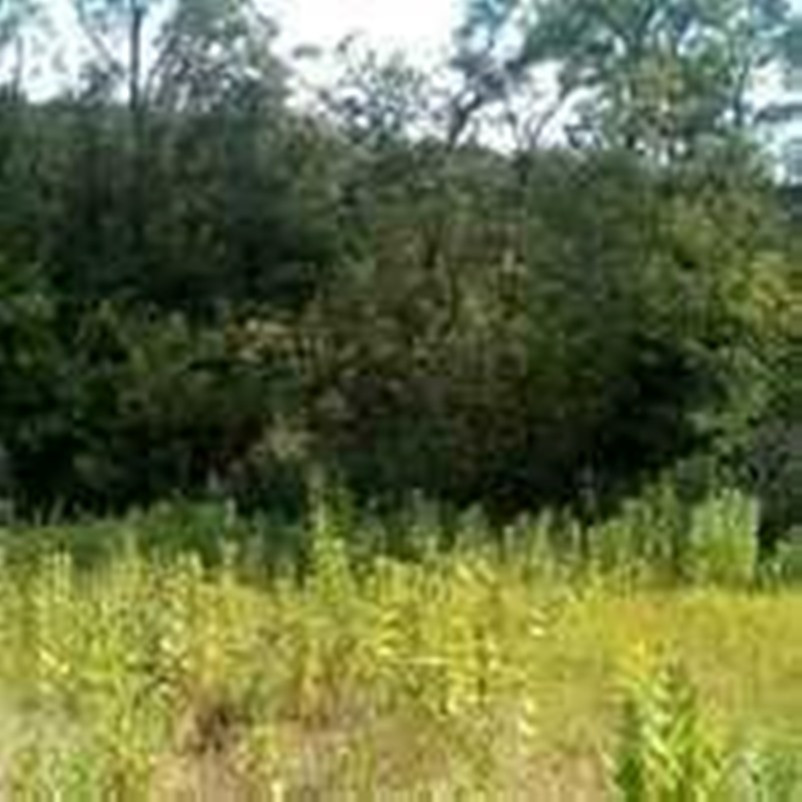 Продаю ділянку в затишному місці з приємним краєвидом та лісом поруч Обухів - зображення 3