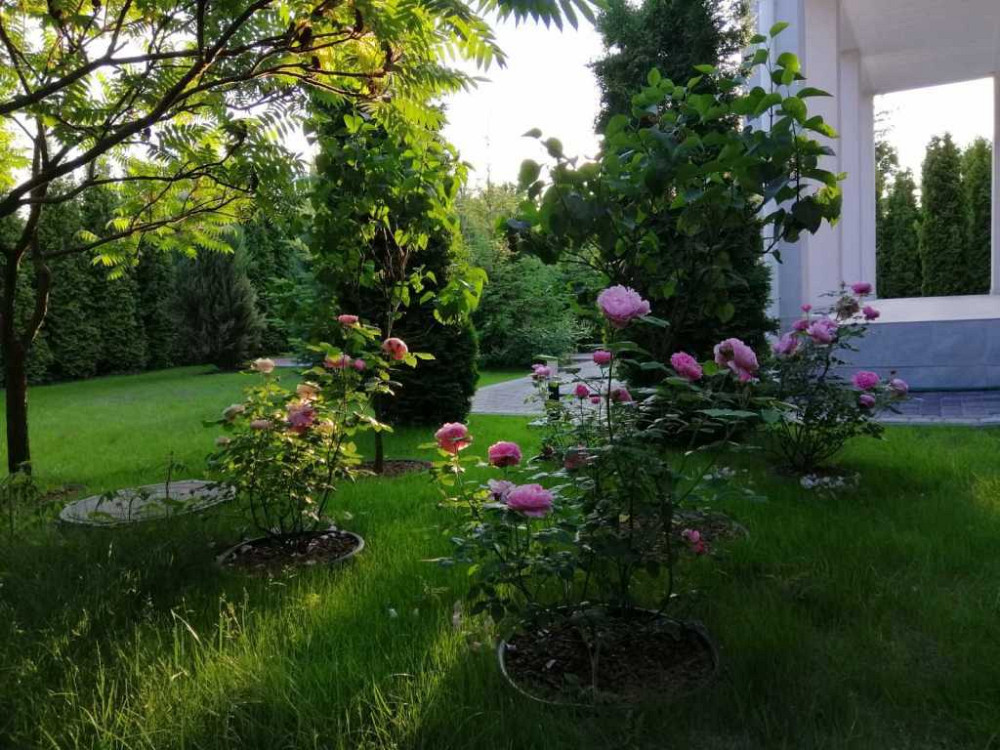 продажа 5-к дом Вышгородский, Вышгород, 380000 $ Вишгород - зображення 9