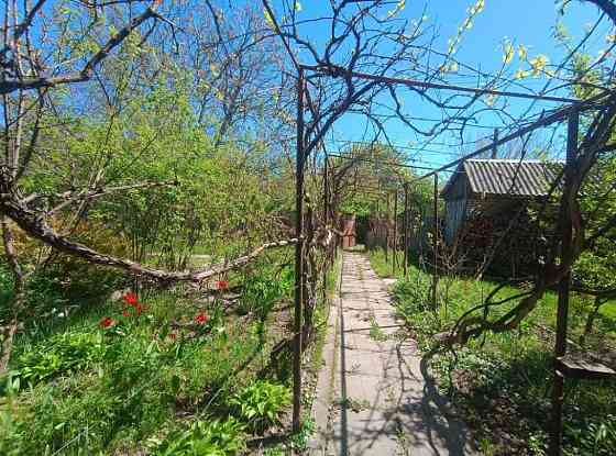 продажа участок под жилую застройку Васильковский, Хлепча, 63000 $ 