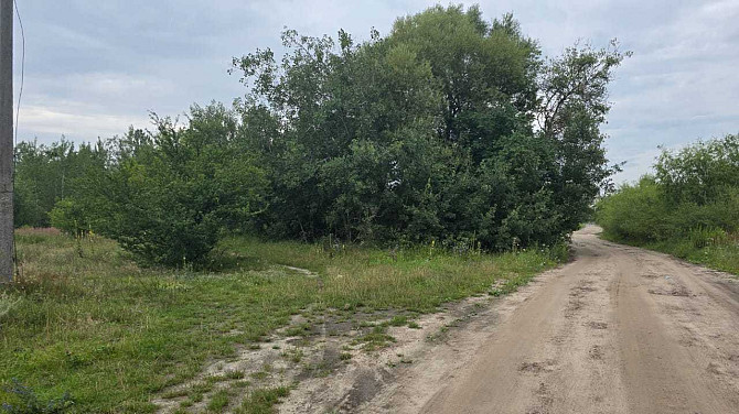 продажа земля коммерческого назначения Ковельский, Ковель, 1245 $ Ковель - зображення 3